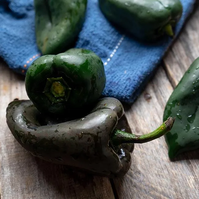 Ancho Poblano Pepper Seeds