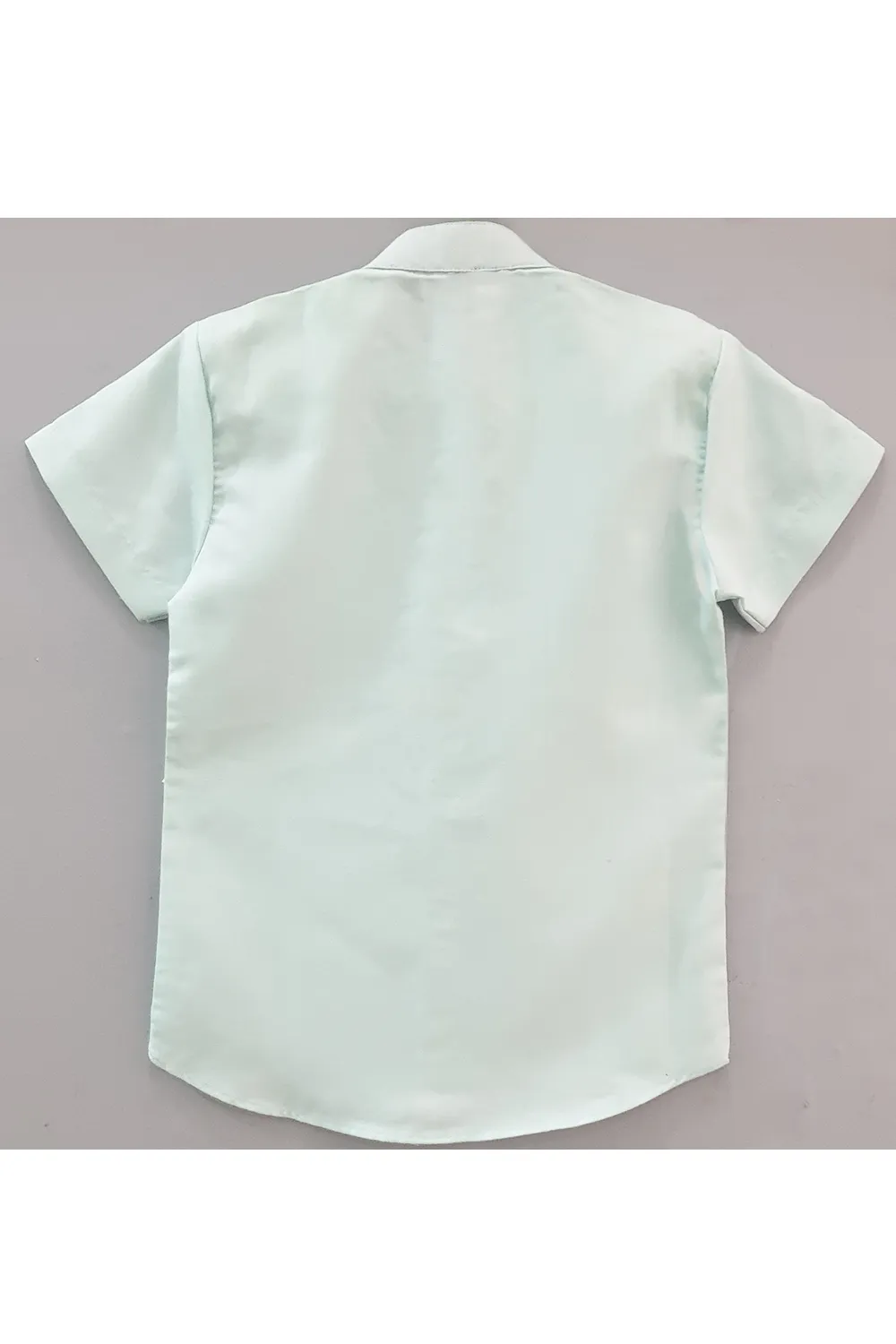 Icecream embroidered mint green short sleeves shirt
